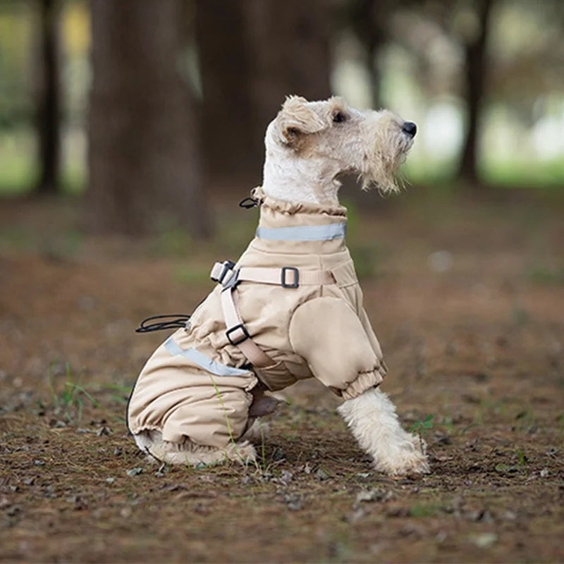 Overall med sele för hund