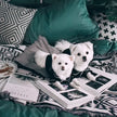 Pyjamasskjorta för hund