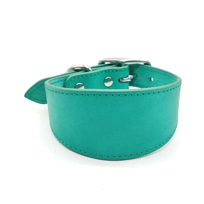 Brett hundhalsband