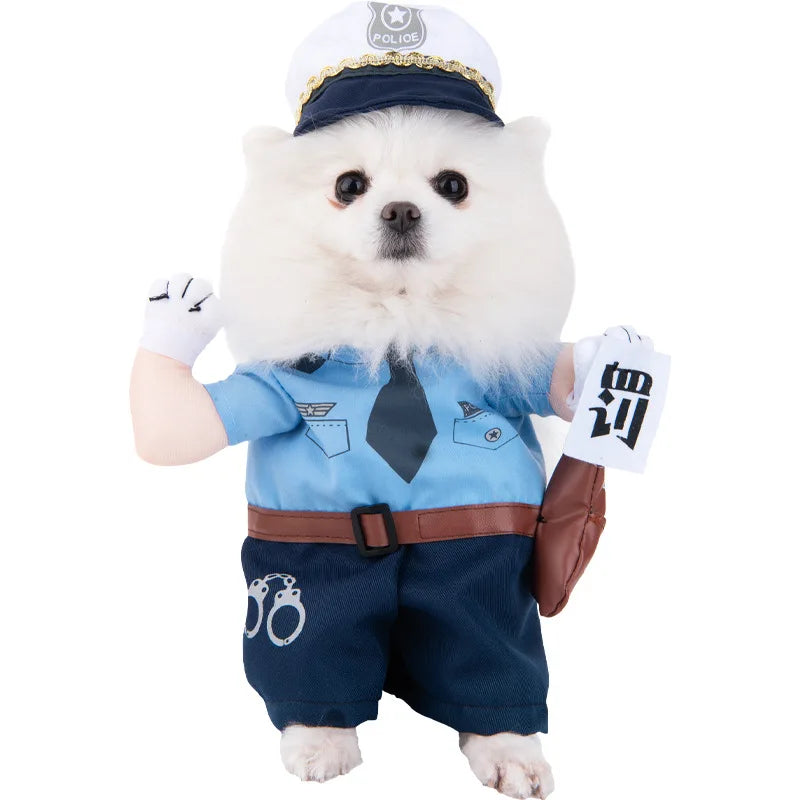 Halloween kostym för hund