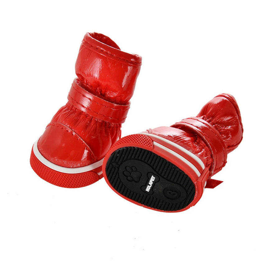 Snowboots för hund