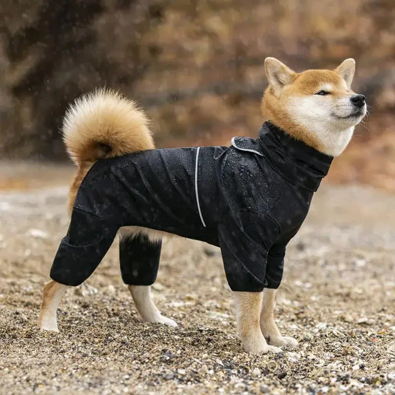 Vattentät overall för hund