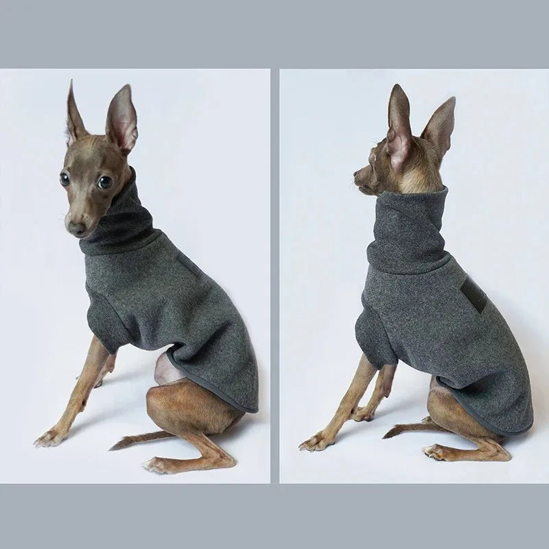 Polotröja för hund