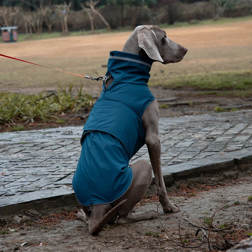 Vattentät hundjacka