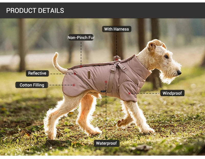 Vinterjacka med sele för hund