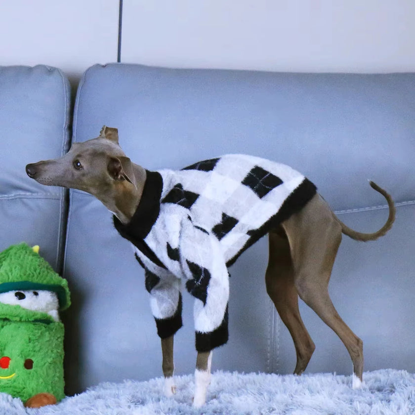 Stickad kofta för hund