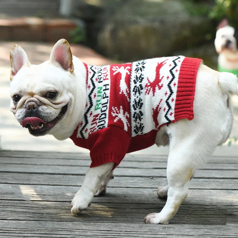 Stickad jultröja för hund