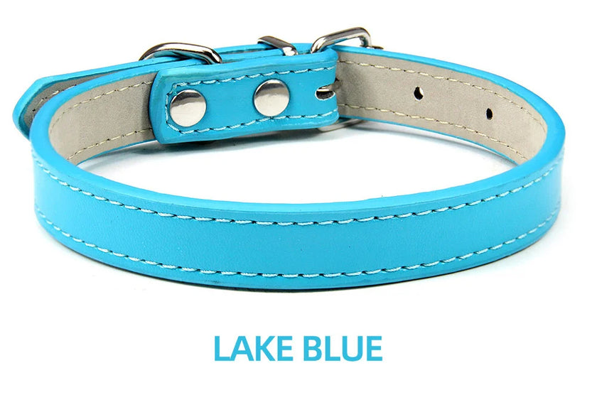 Hundhalsband