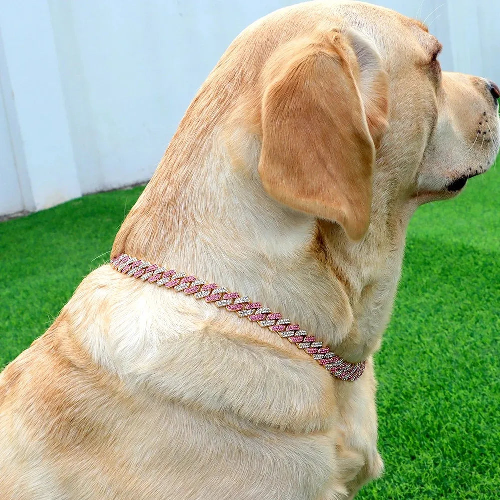 Hundhalsband med strass
