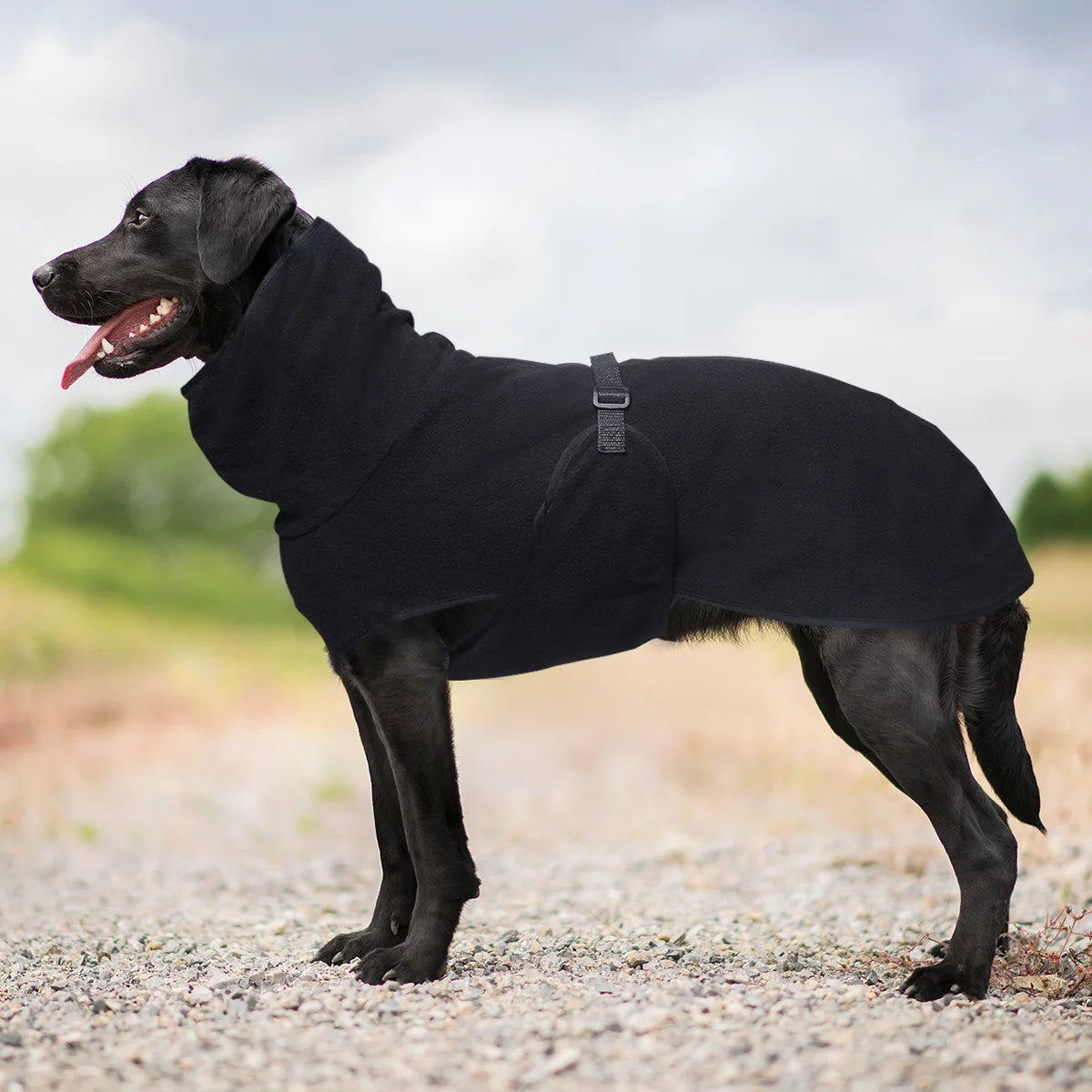 Hundtäcke i fleece