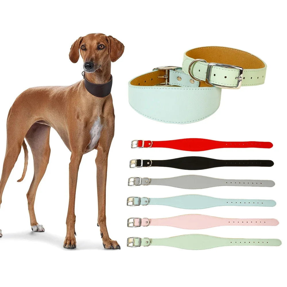 Brett hundhalsband