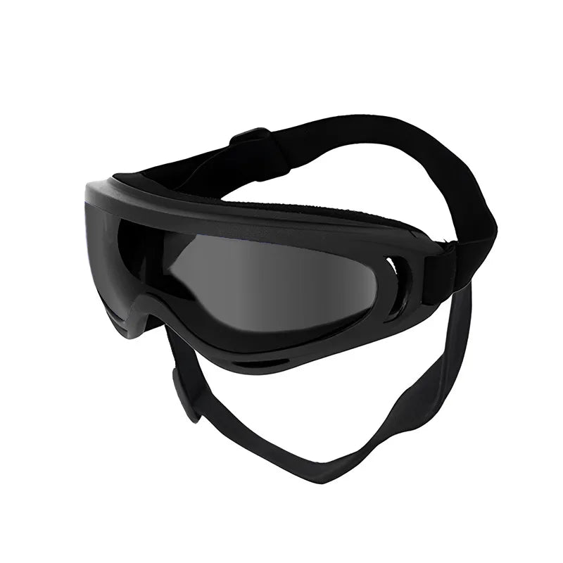 Goggles för hund