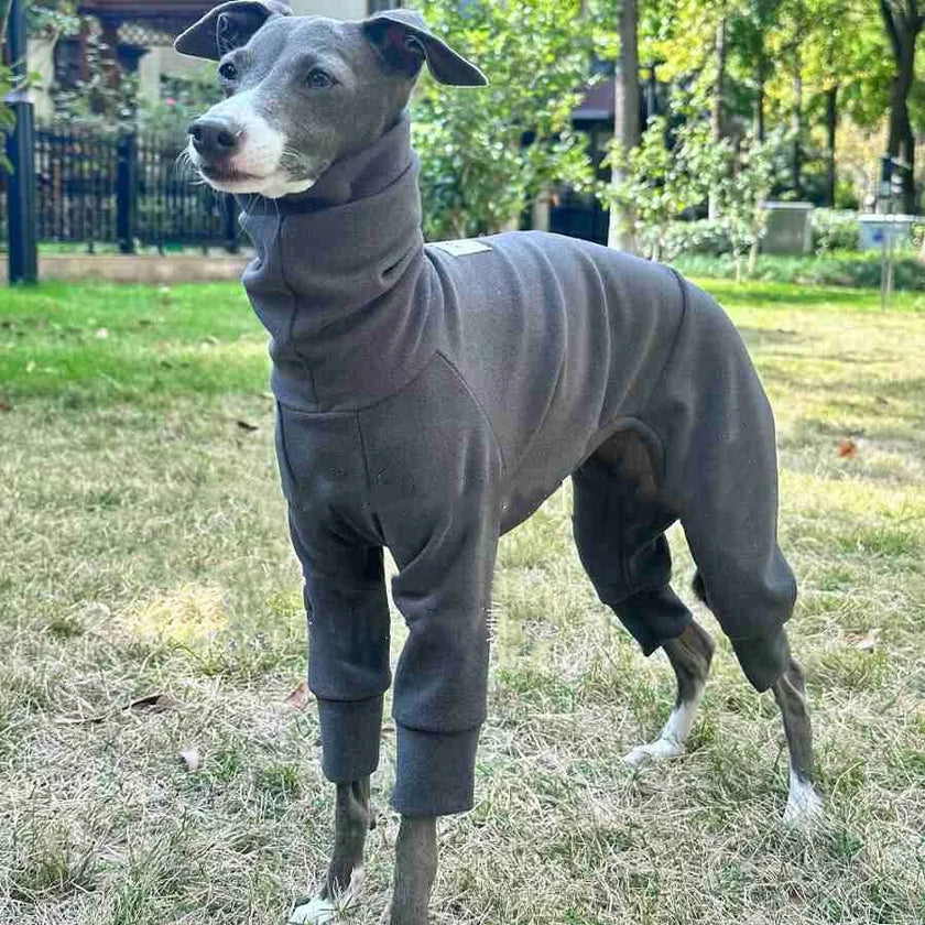 Overall Onesie med hög krage för hund