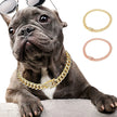 Hundhalsband med strass