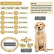 Hundhalsband med strass
