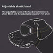 Goggles för hund