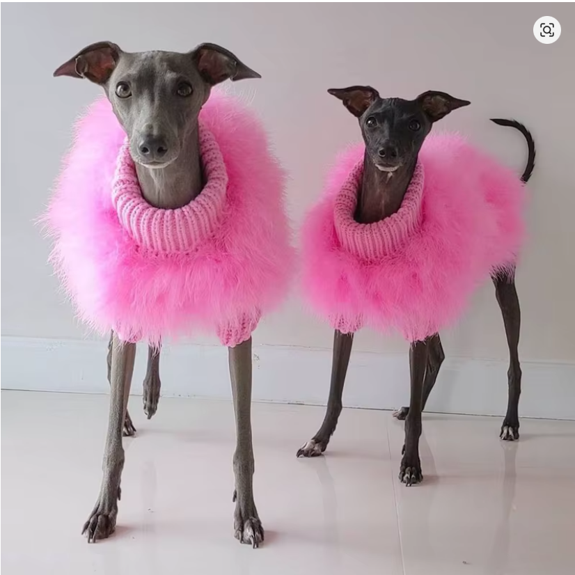 Pälströja för hund