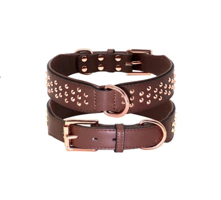 collection_dog_accessories