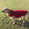 Fleeceväst för hund