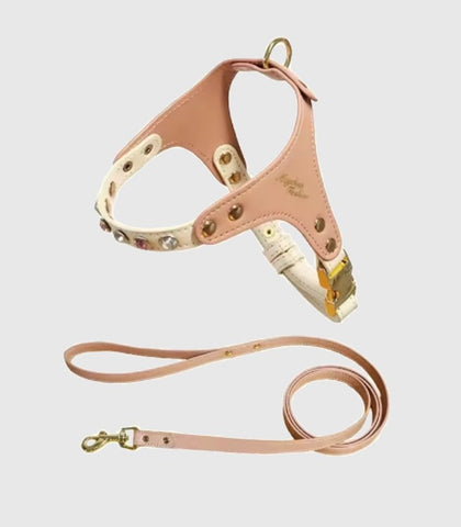 collection_dog_collars